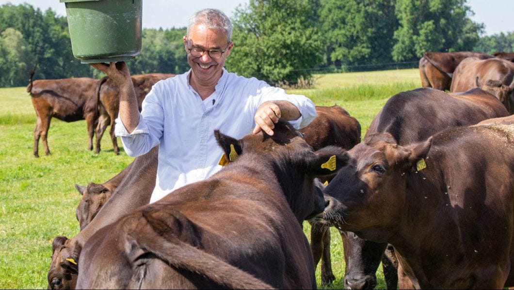 Reportage dans un élevage bovin de race japonaise Wagyu en Ille-et-Vilaine